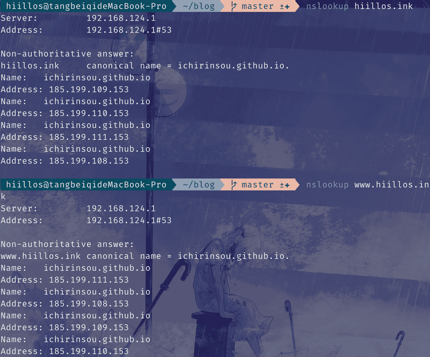nslookup